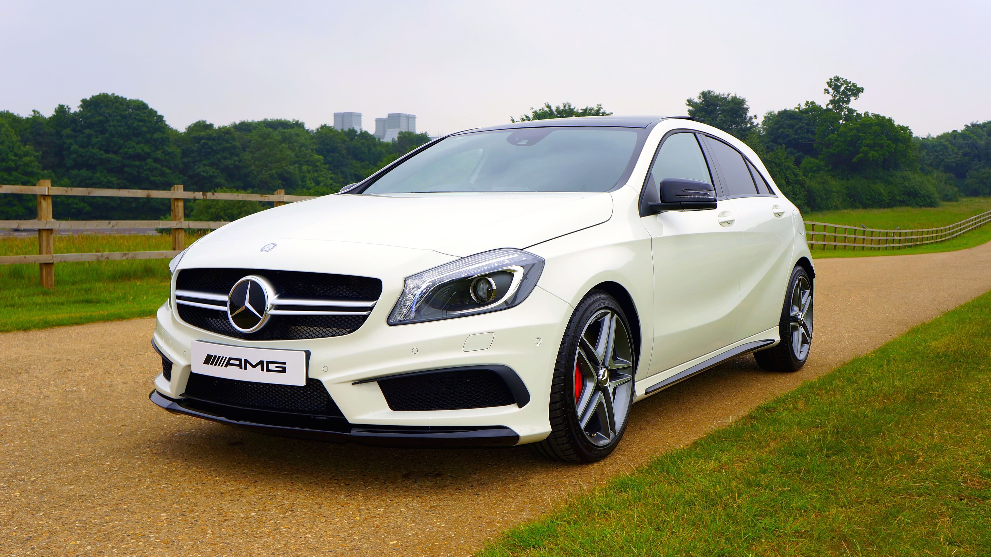 Family rental car