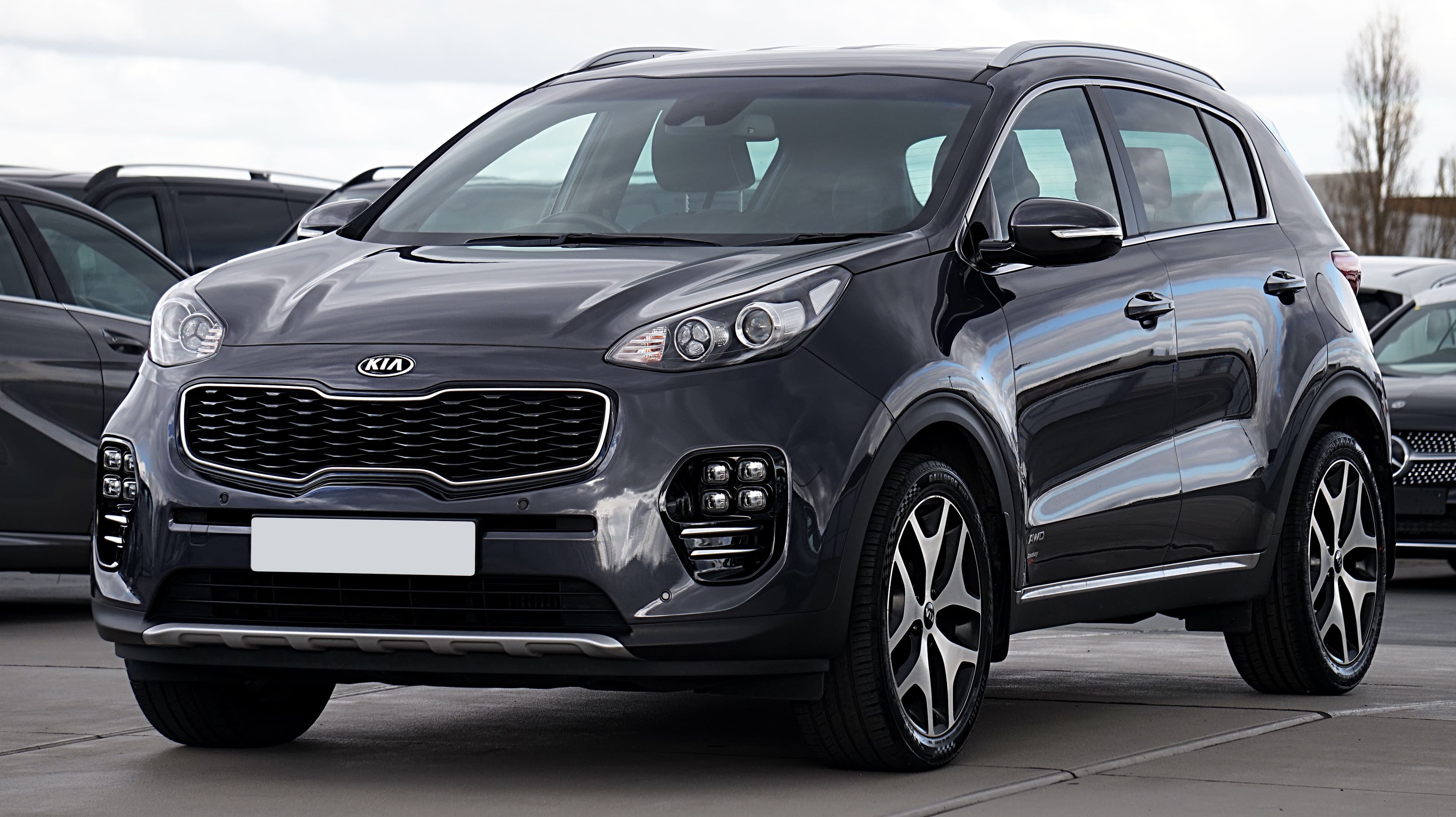 SUV rental car
